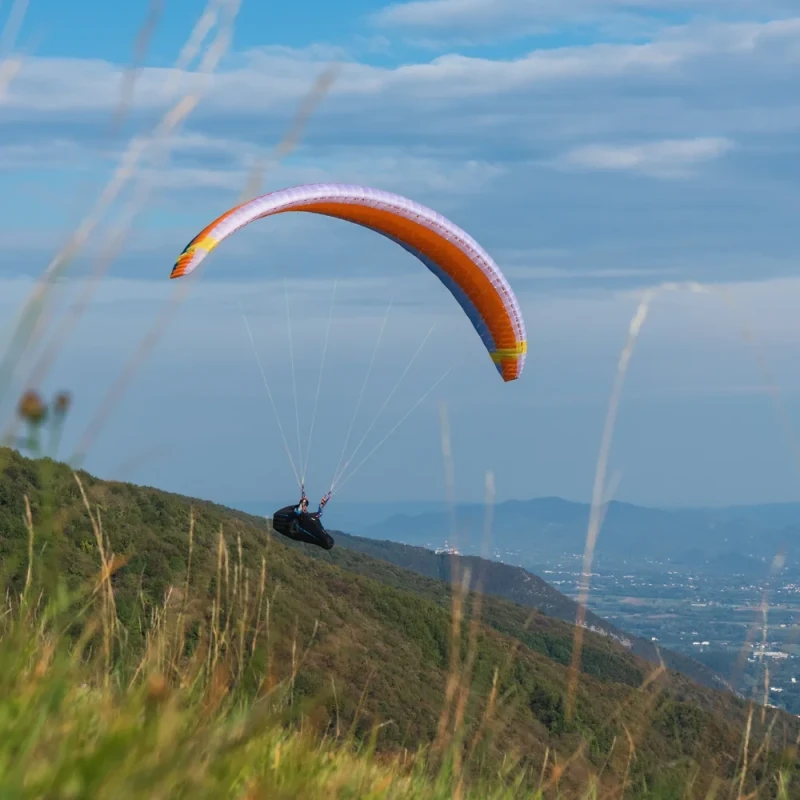 Nova MENTOR 7 - Aile Parapente Cross (XC) Hybride EN B + | Flying Fish