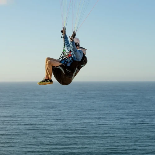 Nova ITUS - Sellette Réversible Polyvalente & Sécuritaire | Flying Fish 2