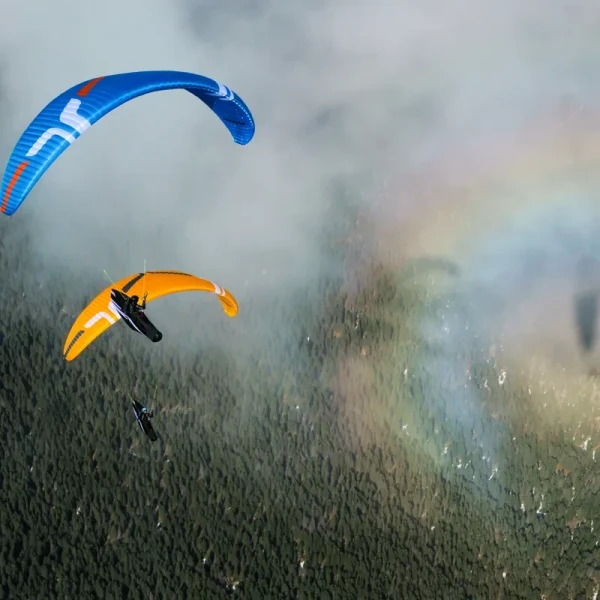 Ozone ALPINA 4 GT - Parapente Semi Light Performance Cross EN C | Flying Fish