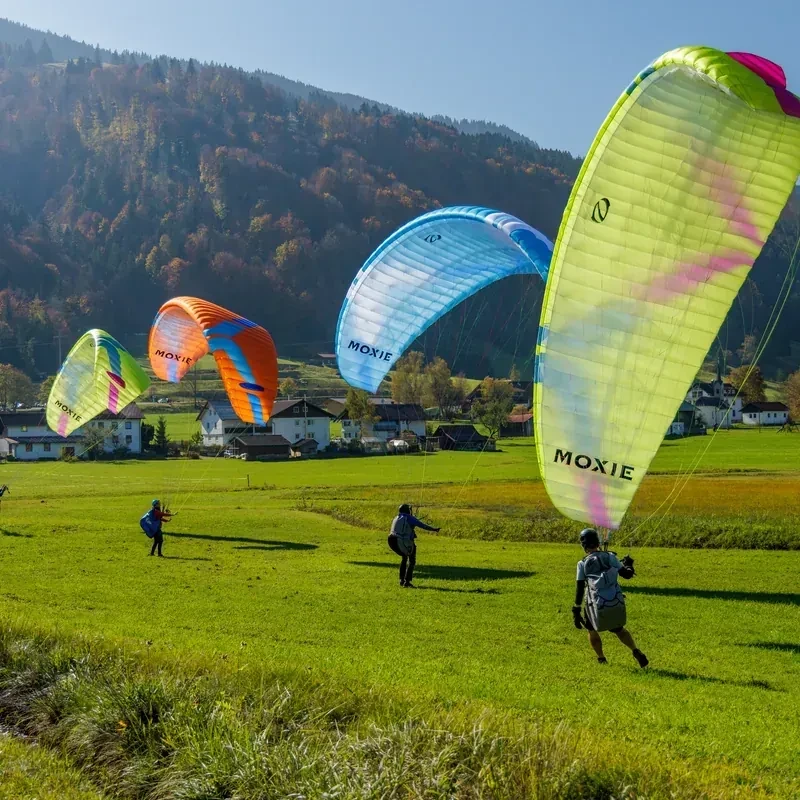 Ozone MOXIE - Aile Parapente Débutant & Progression EN A | Flying Fish