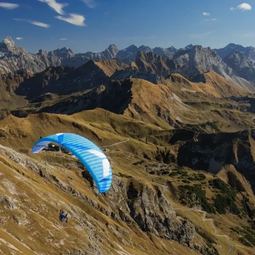 Ozone MOXIE - Aile Parapente Débutant & Progression EN A | Flying Fish