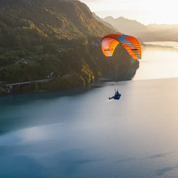 Ozone MOXIE - Aile Parapente Débutant & Progression EN A | Flying Fish