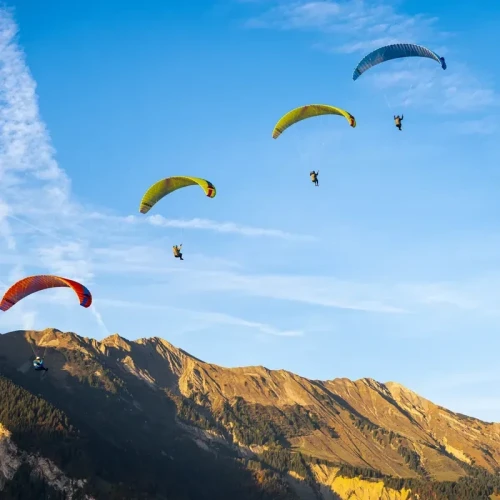 Ozone MOXIE - Aile Parapente Débutant & Progression EN A | Flying Fish 2