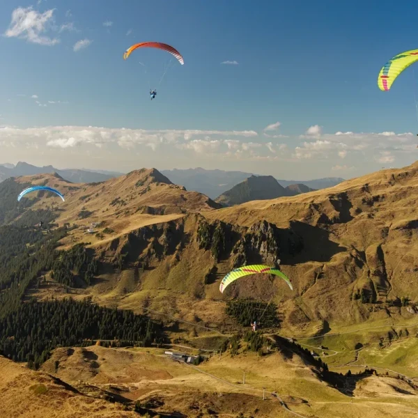 Ozone MOXIE - Aile Parapente Débutant & Progression EN A | Flying Fish