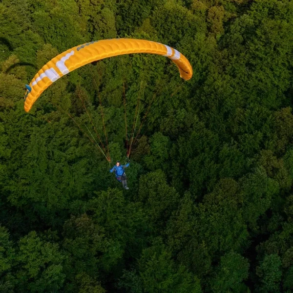 Ozone ALTA GT - Parapente Progression & Voyage EN A | Flying Fish
