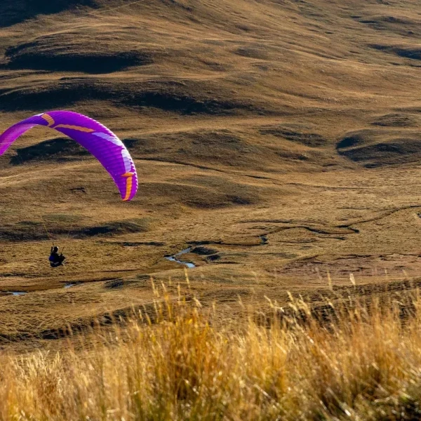 Ozone VIBE GT - Parapente Fun, Freestyle & Progression EN B | Flying Fish