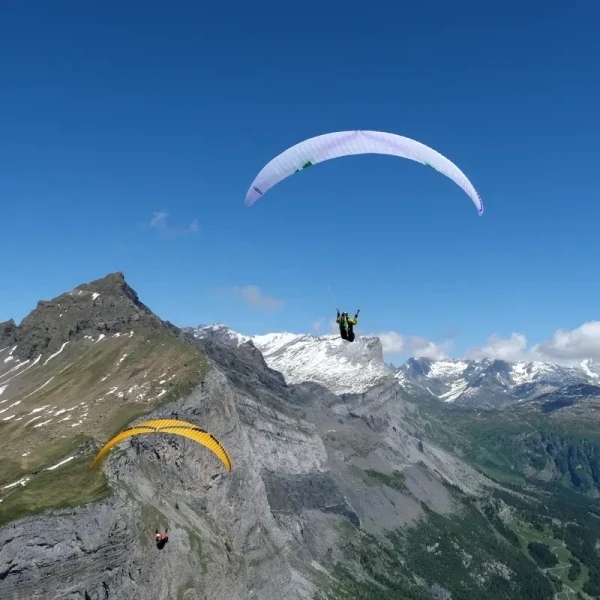 Ozone SWIFT 6 - Parapente Light Performance Cross-Country EN B+ | Flying Fish