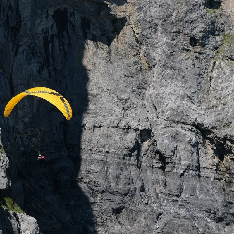 Ozone SWIFT 6 - Parapente Light Performance Cross-Country EN B+ | Flying Fish