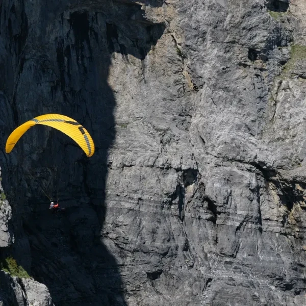 Ozone SWIFT 6 - Parapente Light Performance Cross-Country EN B+ | Flying Fish