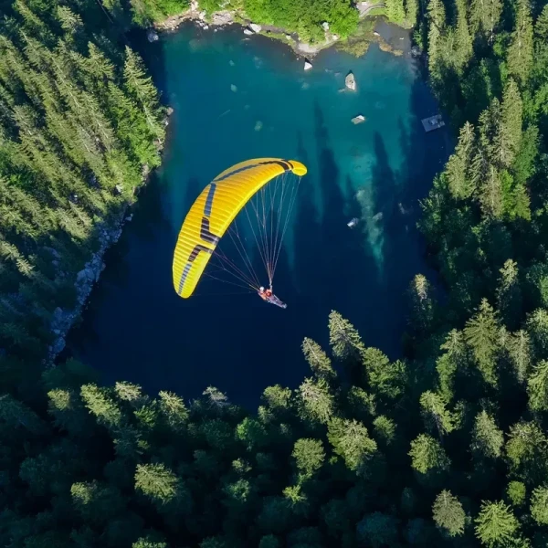 Ozone SWIFT 6 - Parapente Light Performance Cross-Country EN B+ | Flying Fish