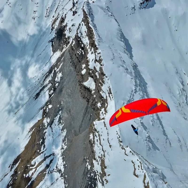 Ozone DELTA 5 - Parapente 2-Lignes Cross-Country EN C | Flying Fish