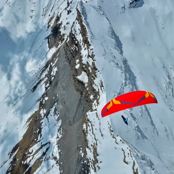 Ozone DELTA 5 - Parapente 2-Lignes Cross-Country EN C | Flying Fish