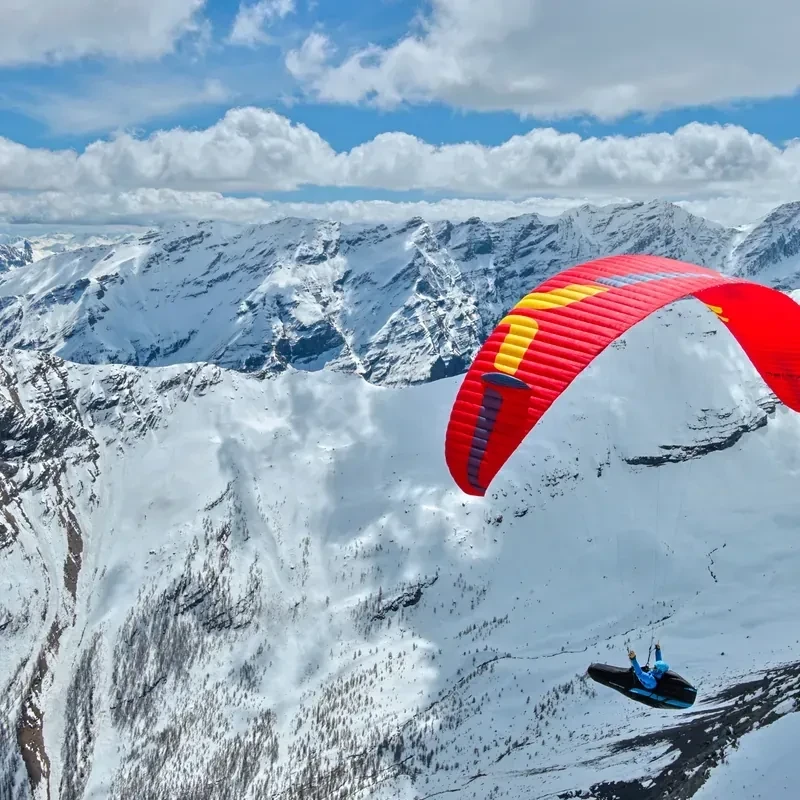 Ozone DELTA 5 - Parapente 2-Lignes Cross-Country EN C | Flying Fish