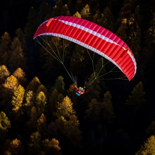 AirDesign Eazy 4 - Aile de Parapente EN-A Progression | Flying Fish