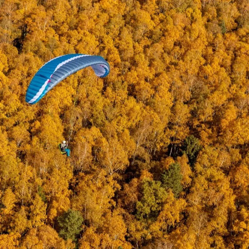 AirDesign Eazy 4 - Aile de Parapente EN-A Progression | Flying Fish 2