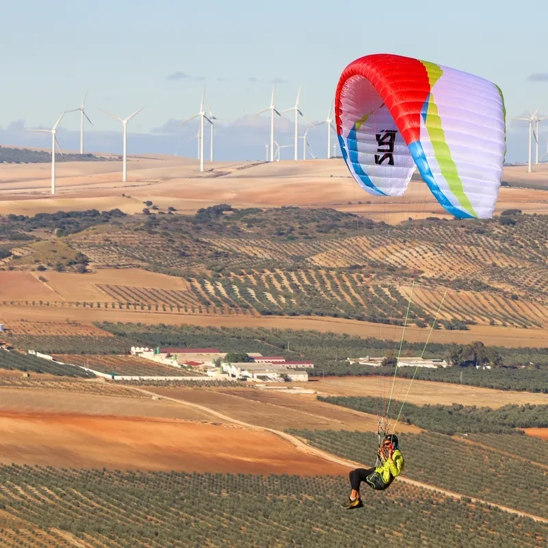 AirDesign SuSi 4 - Aile Parapente Ultra-Light & Hike-Fly | Flying Fish