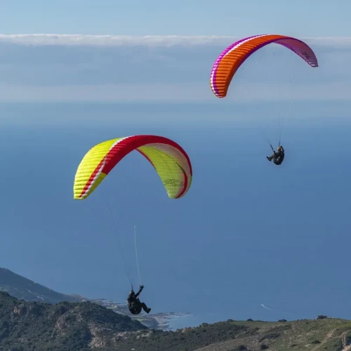 AirDesign Vivo 2 - Aile Parapente Progression EN-B | Flying Fish 2