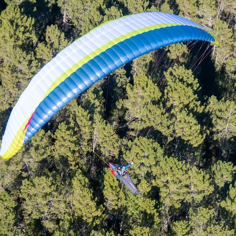 AirDesign Volt 5 - Aile EN-C 2 Lignes Light | Flying Fish