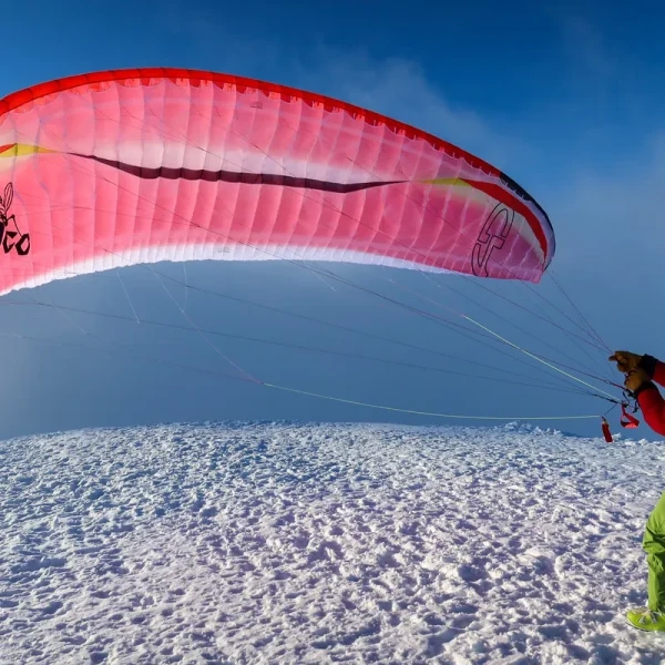 AirDesign Loco - Aile 2-Lignes Light EN-C 16m2 | Flying Fish