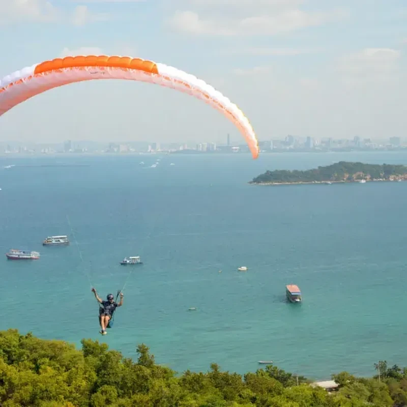 Supair Birdy 2 - L'aile de Progression EN-A+ Agile & Polyvalente | Flying Fish