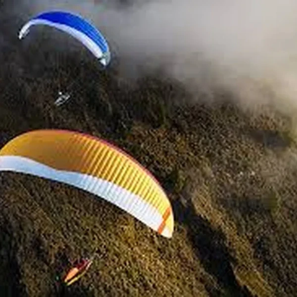 NOVA MENTOR 7 Light Démo - Parapente High-B semi légère XC | Flying Fish